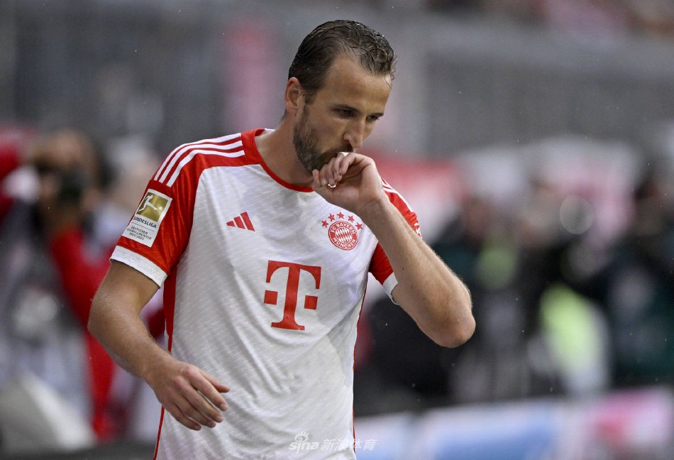 后卫阵容中 后卫阵容中