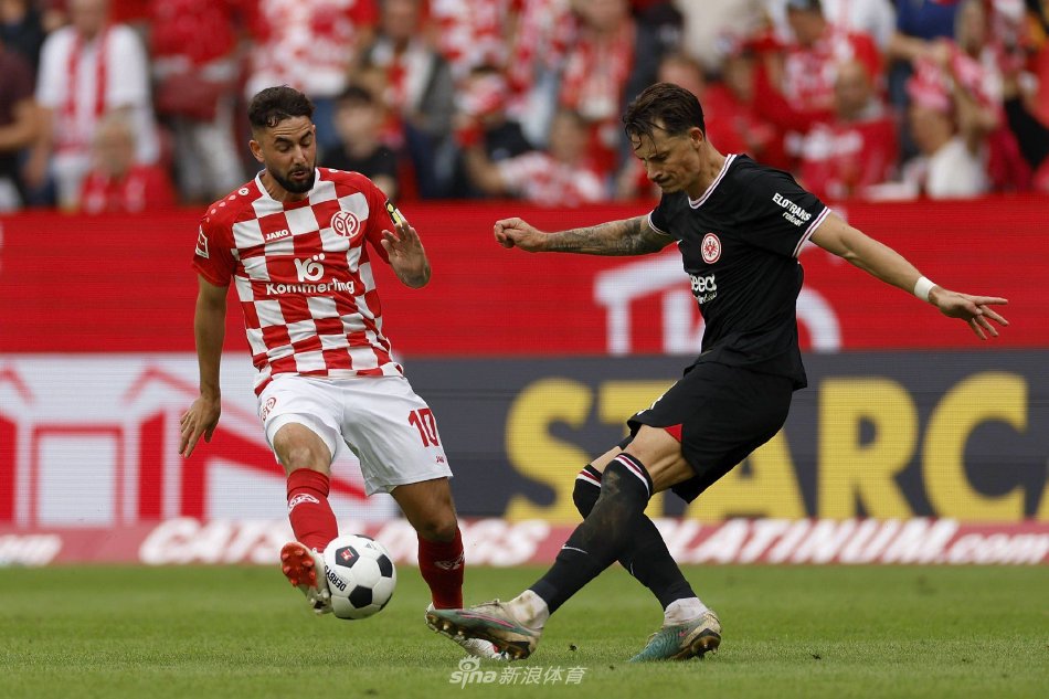 案例分析 案例分析